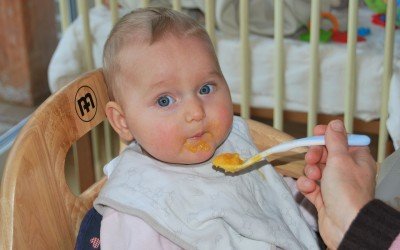Bébé à 8 mois : L’alimentation de Bébé
