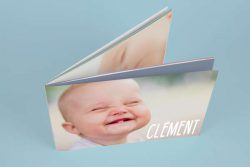 Mini-livre