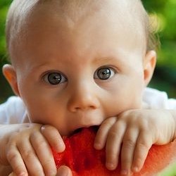 Bébé et son alimentation