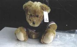 Ours en peluche - SCANIA